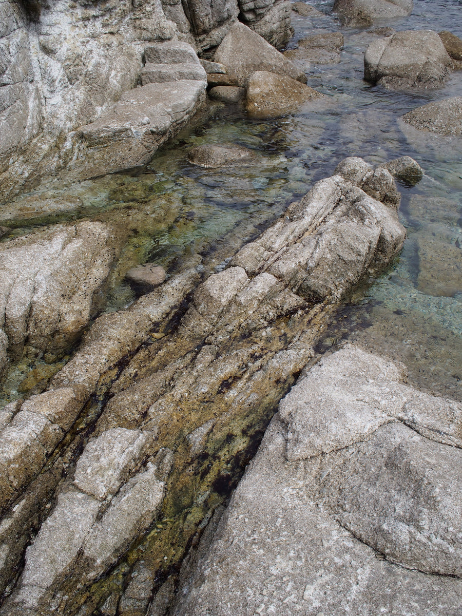Tide pool - Carmel California