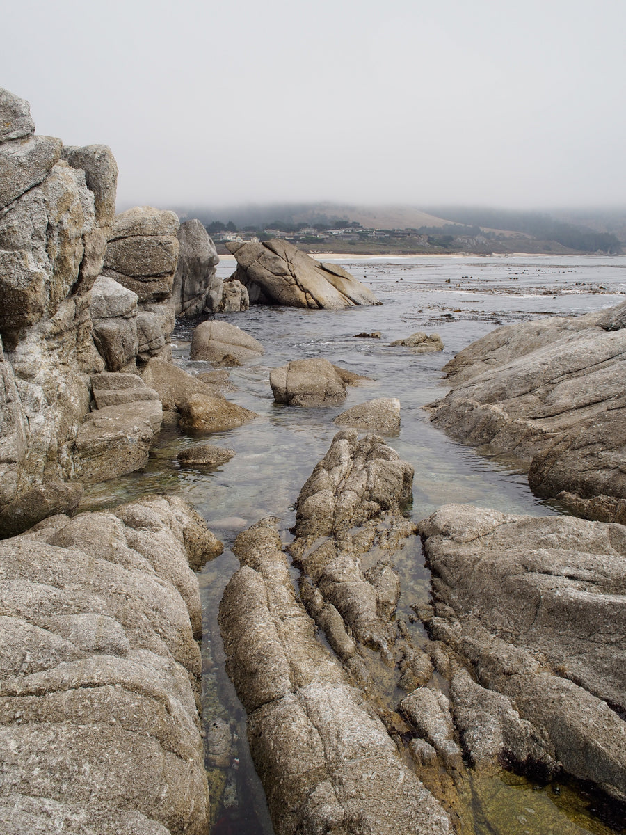 Tide pool - Carmel California