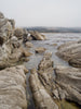 Tide pool - Carmel California