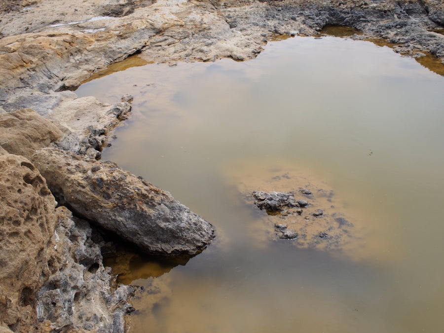 Tide pool - Carmel California