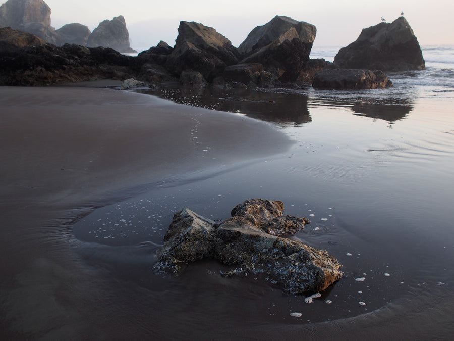 Point Reyes California