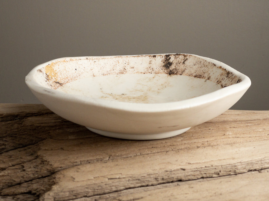 Shoreline Small Plates 7"