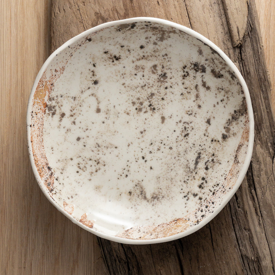 Shoreline Dinner Bowls 9"
